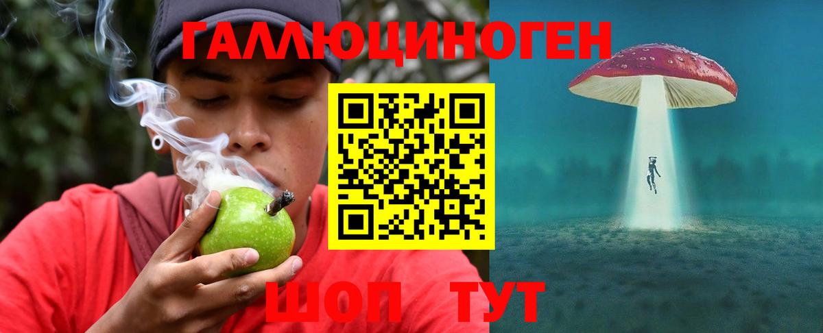 Галлюциногенные грибы Psilocybe  что такое наркотик  Амурск  Псилоцибиновые грибы MAGIC MUSHROOMS  Вход с VPN 